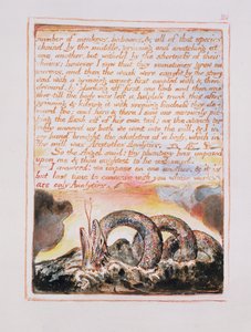 猿とヒヒの数、イラストとテキスト、天国と地獄の結婚、c.1790-3（ペンとトイレでレリーフエッチングを終了） 作： William Blake
